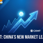 CXMT IPO